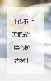 传承“天把式” 精心护古树
