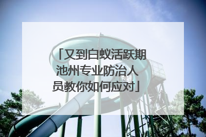 又到白蚁活跃期 池州专业防治人员教你如何应对