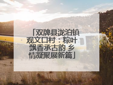 双牌县泷泊镇观文口村：粽叶飘香承古韵 乡情凝聚展新篇