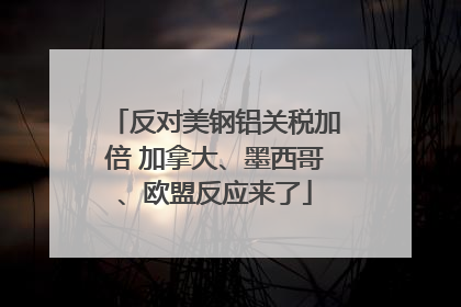 反对美钢铝关税加倍 加拿大、墨西哥、欧盟反应来了