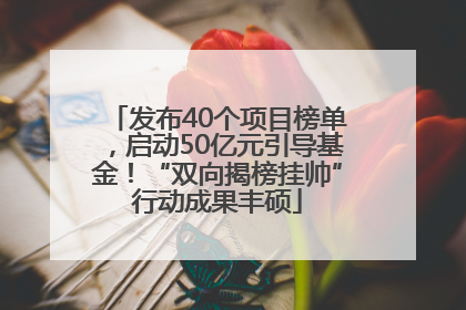 发布40个项目榜单，启动50亿元引导基金！“双向揭榜挂帅”行动成果丰硕