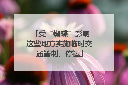 受“蝴蝶”影响 这些地方实施临时交通管制、停运