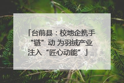 台前县：校地企携手“链”动 为羽绒产业注入“匠心动能”