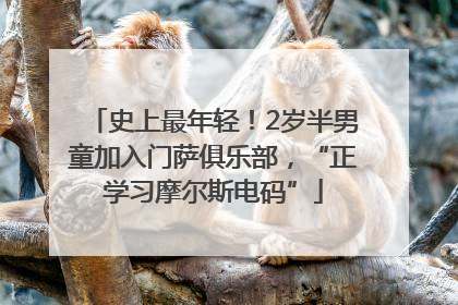 史上最年轻！2岁半男童加入门萨俱乐部，“正学习摩尔斯电码”