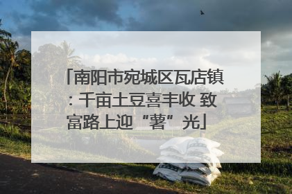 南阳市宛城区瓦店镇：千亩土豆喜丰收 致富路上迎“薯”光