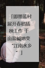 即墨蓝村展开春稻插秧工作 千亩盐碱地变“江南水乡”