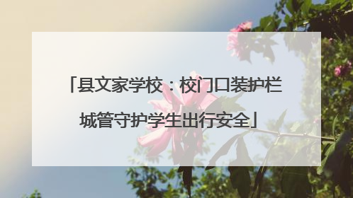 县文家学校：校门口装护栏 城管守护学生出行安全