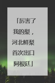 厉害了我的梨，河北鲜梨首次出口阿根廷