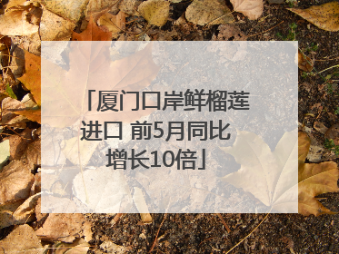 厦门口岸鲜榴莲进口 前5月同比增长10倍