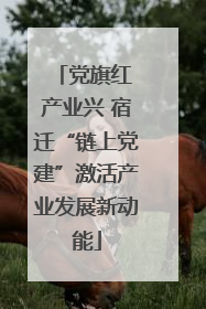 党旗红 产业兴 宿迁“链上党建”激活产业发展新动能