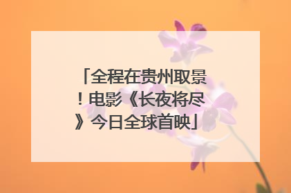 全程在贵州取景！电影《长夜将尽》今日全球首映