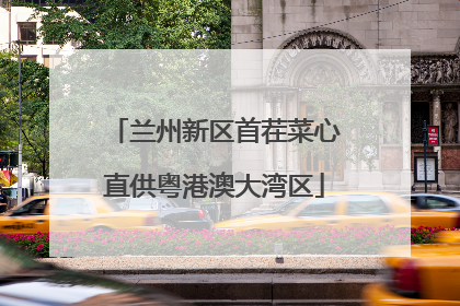 兰州新区首茬菜心直供粤港澳大湾区