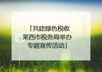 共建绿色税收 莱西市税务局举办专题宣传活动