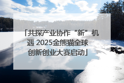 共探产业协作“新”机遇 2025金熊猫全球创新创业大赛启动