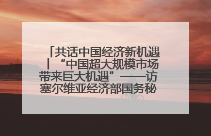 共话中国经济新机遇丨“中国超大规模市场带来巨大机遇”——访塞尔维亚经济部国务秘书尼科利奇