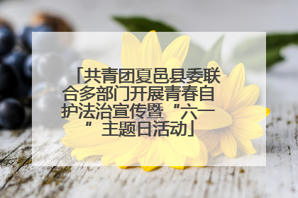 共青团夏邑县委联合多部门开展青春自护法治宣传暨“六一”主题日活动