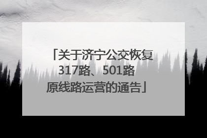 关于济宁公交恢复317路、501路原线路运营的通告