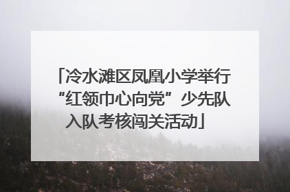 冷水滩区凤凰小学举行“红领巾心向党”少先队入队考核闯关活动