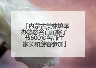 内蒙古美林镇举办悠悠谷首届粽子节600多名师生家长和游客参加