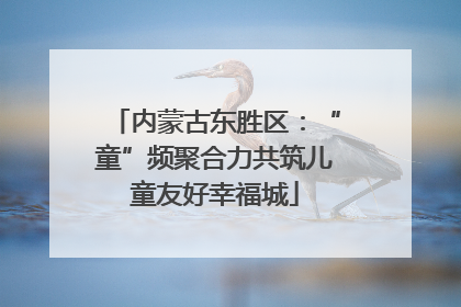 内蒙古东胜区：“童”频聚合力共筑儿童友好幸福城