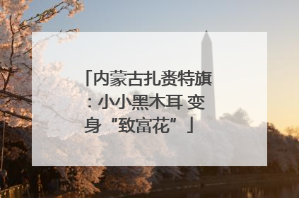 内蒙古扎赉特旗：小小黑木耳 变身“致富花”