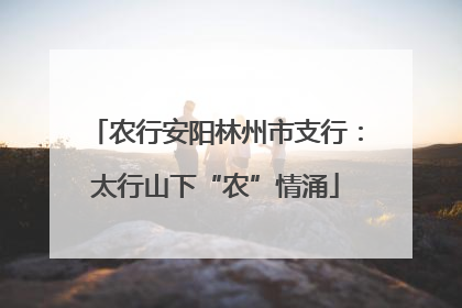 农行安阳林州市支行：太行山下“农”情涌