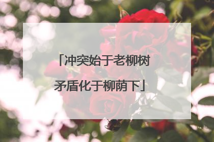 冲突始于老柳树 矛盾化于柳荫下