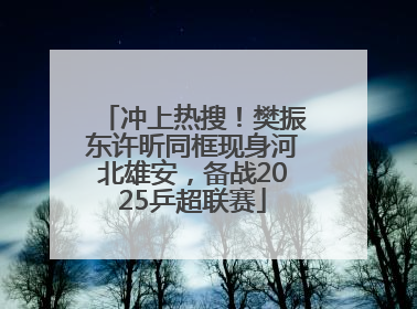 冲上热搜！樊振东许昕同框现身河北雄安，备战2025乒超联赛