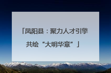 凤阳县：聚力人才引擎 共绘“大明华章”