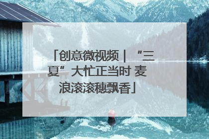 创意微视频｜“三夏”大忙正当时 麦浪滚滚穗飘香