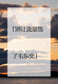 别让流量毁了韦东奕