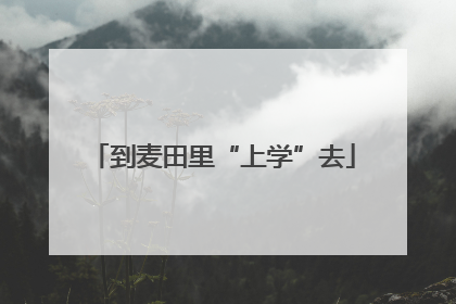 到麦田里“上学”去