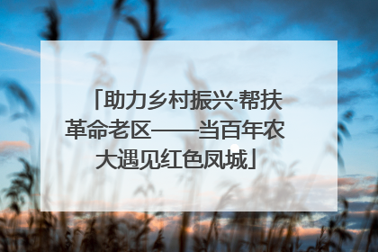 助力乡村振兴·帮扶革命老区——当百年农大遇见红色凤城