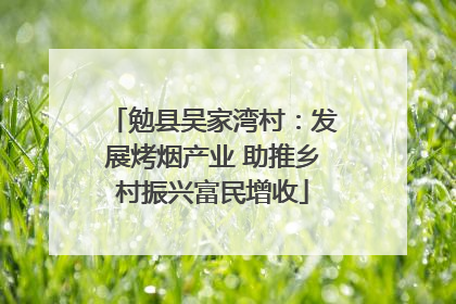 勉县吴家湾村：发展烤烟产业 助推乡村振兴富民增收