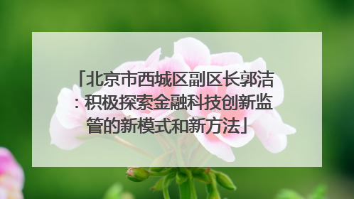 北京市西城区副区长郭洁：积极探索金融科技创新监管的新模式和新方法