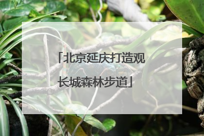 北京延庆打造观长城森林步道
