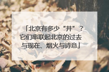 北京有多少“井”？它们串联起北京的过去与现在、烟火与诗意