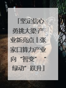坚定信心 勇挑大梁·产业新亮点丨张家口算力产业向“智变”“绿动”跃升