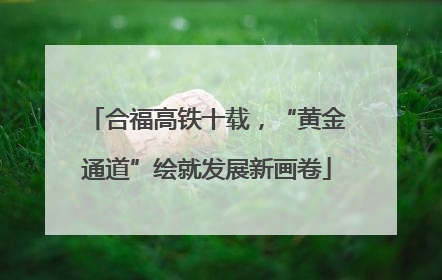 合福高铁十载，“黄金通道”绘就发展新画卷