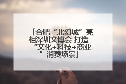 合肥“北幻城”亮相深圳文博会 打造“文化+科技+商业”消费场景