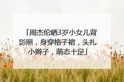 周杰伦晒3岁小女儿背影照，身穿格子裙，头扎小辫子，萌态十足