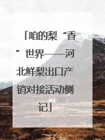 咱的梨“香”世界——河北鲜梨出口产销对接活动侧记