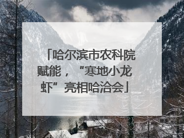 哈尔滨市农科院赋能，“寒地小龙虾”亮相哈洽会