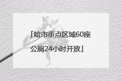哈市重点区域60座公厕24小时开放