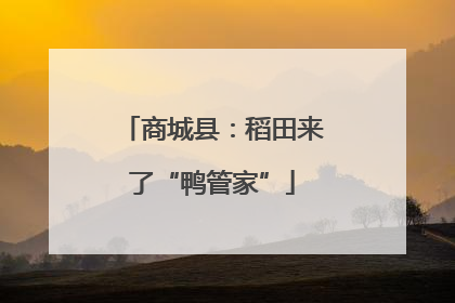 商城县：稻田来了“鸭管家”