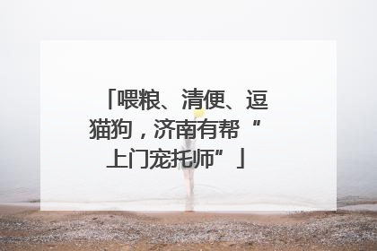 喂粮、清便、逗猫狗，济南有帮“上门宠托师”