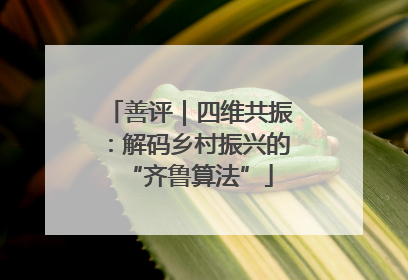 善评｜四维共振：解码乡村振兴的“齐鲁算法”