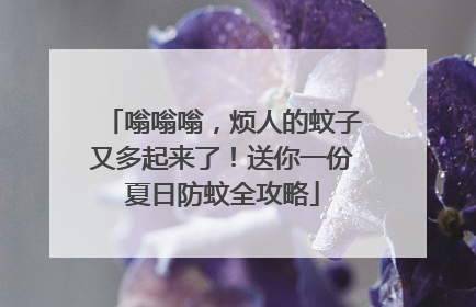嗡嗡嗡，烦人的蚊子又多起来了！送你一份夏日防蚊全攻略