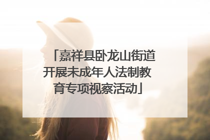 嘉祥县卧龙山街道开展未成年人法制教育专项视察活动