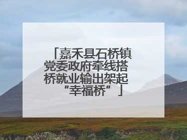 嘉禾县石桥镇党委政府牵线搭桥就业输出架起“幸福桥”